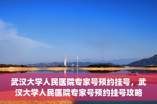 武汉大学人民医院专家号预约挂号，武汉大学人民医院专家号预约挂号攻略，一站式解决您的就医难题