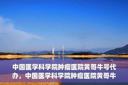 中国医学科学院肿瘤医院黄哥牛号代办，中国医学科学院肿瘤医院黄哥牛号挂号代办服务解析
