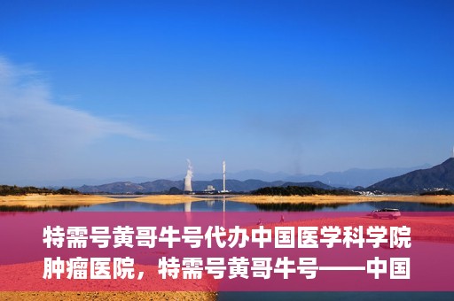 特需号黄哥牛号代办中国医学科学院肿瘤医院，特需号黄哥牛号——中国医学科学院肿瘤医院代办服务详解