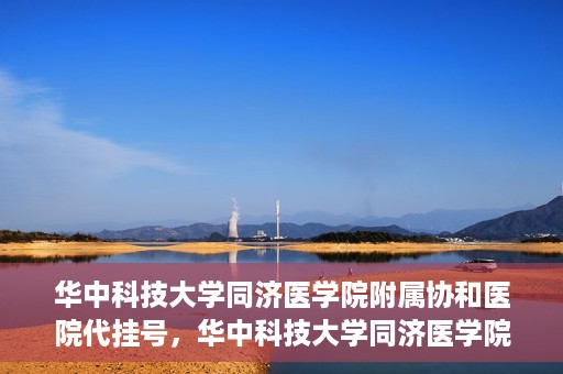 华中科技大学同济医学院附属协和医院代挂号，华中科技大学同济医学院附属协和医院代挂号服务详解