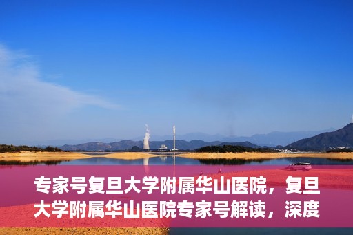 专家号复旦大学附属华山医院，复旦大学附属华山医院专家号解读，深度剖析医疗前沿与诊疗之道
