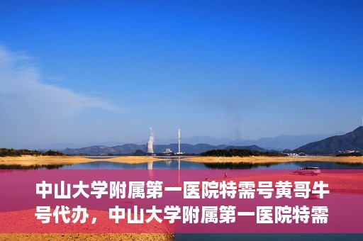中山大学附属第一医院特需号黄哥牛号代办，中山大学附属第一医院特需号专家黄哥牛号预约代办攻略