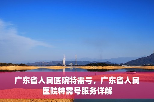 广东省人民医院特需号，广东省人民医院特需号服务详解