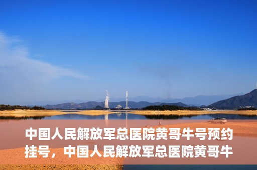 中国人民解放军总医院黄哥牛号预约挂号，中国人民解放军总医院黄哥牛号预约挂号攻略解析