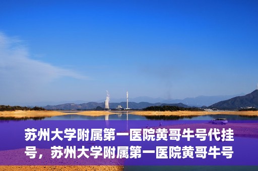 苏州大学附属第一医院黄哥牛号代挂号，苏州大学附属第一医院黄哥牛号代挂号服务解析