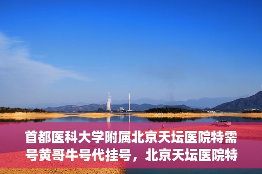 首都医科大学附属北京天坛医院特需号黄哥牛号代挂号，北京天坛医院特需号黄哥牛号代挂号背后的故事与真相