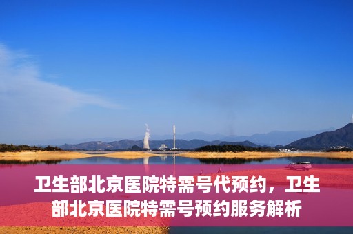 卫生部北京医院特需号代预约，卫生部北京医院特需号预约服务解析
