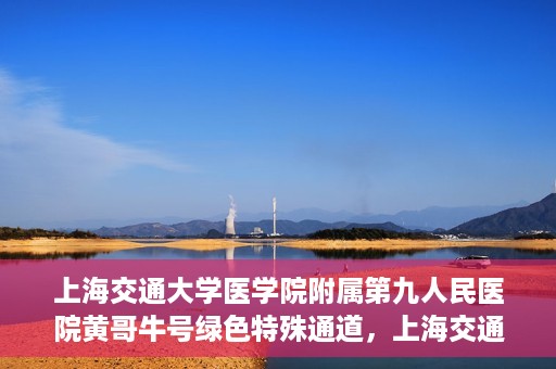 上海交通大学医学院附属第九人民医院黄哥牛号绿色特殊通道，上海交通大学医学院附属第九人民医院黄哥牛号，绿色特殊通道开启健康之门