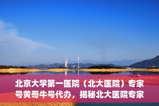 北京大学第一医院（北大医院）专家号黄哥牛号代办，揭秘北大医院专家号代办内幕，黄哥牛号背后的故事