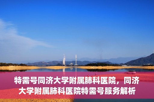 特需号同济大学附属肺科医院，同济大学附属肺科医院特需号服务解析