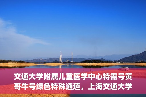 交通大学附属儿童医学中心特需号黄哥牛号绿色特殊通道，上海交通大学附属儿童医学中心特需号黄哥牛号，绿色特殊通道开启
