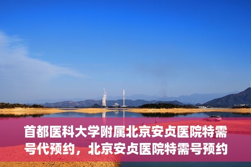 首都医科大学附属北京安贞医院特需号代预约，北京安贞医院特需号预约服务解析