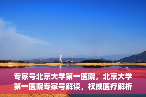 专家号北京大学第一医院，北京大学第一医院专家号解读，权威医疗解析与深度洞察