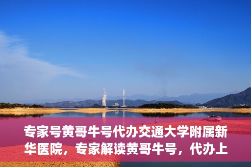 专家号黄哥牛号代办交通大学附属新华医院，专家解读黄哥牛号，代办上海交通大学附属新华医院攻略揭秘