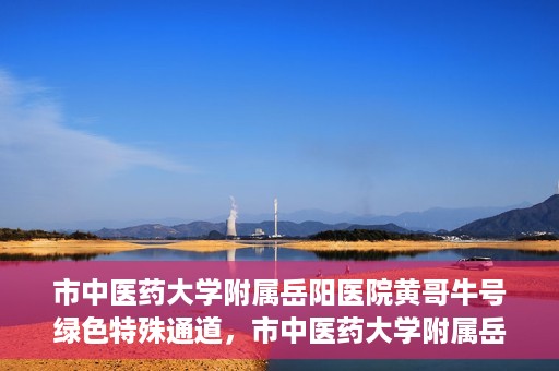 市中医药大学附属岳阳医院黄哥牛号绿色特殊通道，市中医药大学附属岳阳医院黄哥牛号，绿色特殊通道开启健康之门