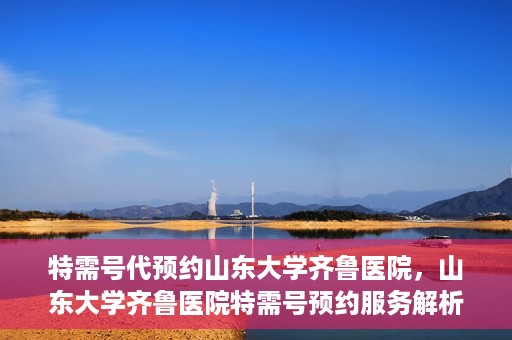特需号代预约山东大学齐鲁医院，山东大学齐鲁医院特需号预约服务解析