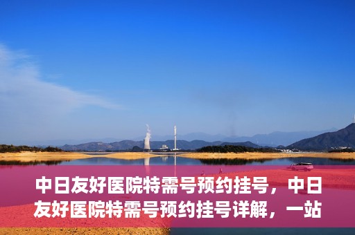中日友好医院特需号预约挂号，中日友好医院特需号预约挂号详解，一站式解决您的就医难题