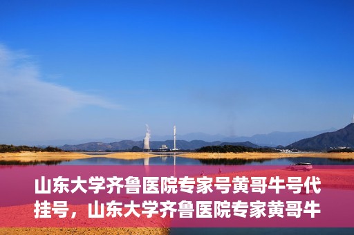 山东大学齐鲁医院专家号黄哥牛号代挂号，山东大学齐鲁医院专家黄哥牛号挂号攻略，专业代挂号服务解析