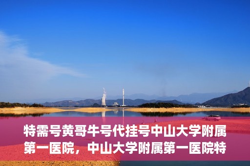 特需号黄哥牛号代挂号中山大学附属第一医院，中山大学附属第一医院特需号黄哥牛号代挂号服务解析