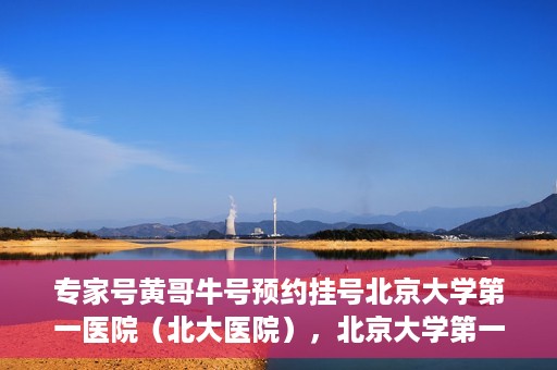 专家号黄哥牛号预约挂号北京大学第一医院（北大医院），北京大学第一医院专家号黄哥牛预约挂号指南