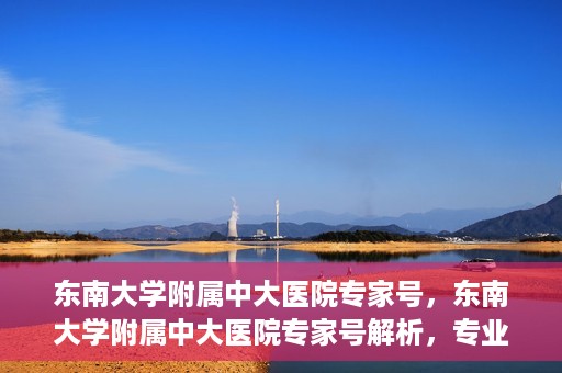 东南大学附属中大医院专家号，东南大学附属中大医院专家号解析，专业医疗团队引领健康之路