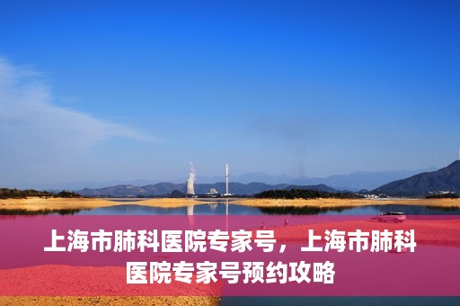 上海市肺科医院专家号，上海市肺科医院专家号预约攻略