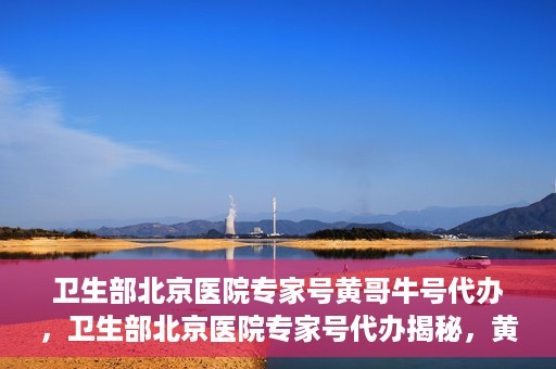 卫生部北京医院专家号黄哥牛号代办，卫生部北京医院专家号代办揭秘，黄哥牛号助您轻松预约专家资源
