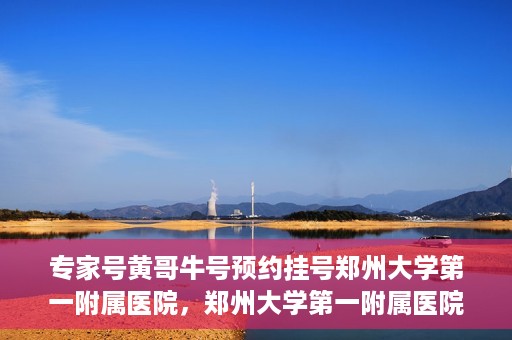 专家号黄哥牛号预约挂号郑州大学第一附属医院，郑州大学第一附属医院专家号黄哥牛号预约挂号指南