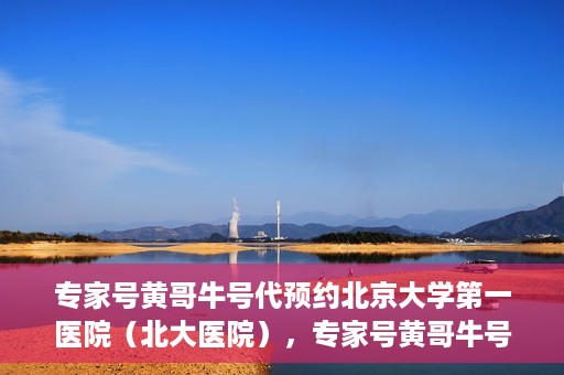 专家号黄哥牛号代预约北京大学第一医院（北大医院），专家号黄哥牛号助您预约北京大学第一医院（北大名医挂号助手）