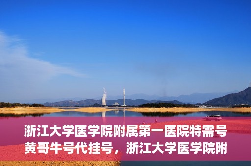 浙江大学医学院附属第一医院特需号黄哥牛号代挂号，浙江大学医学院附属第一医院特需号专家黄哥牛号挂号攻略