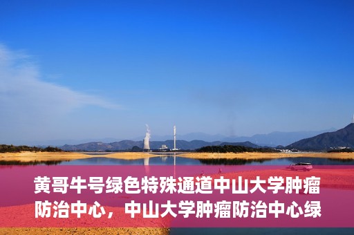 黄哥牛号绿色特殊通道中山大学肿瘤防治中心，中山大学肿瘤防治中心绿色特殊通道，黄哥牛号引领健康新航向