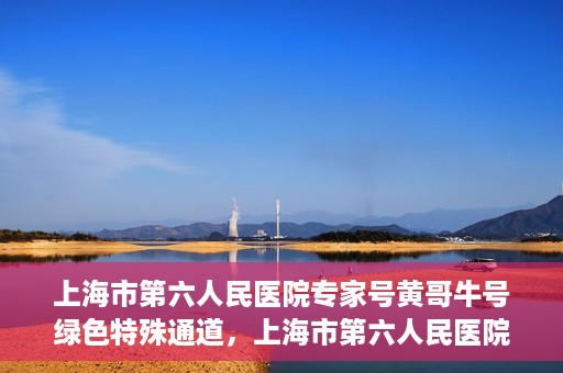 上海市第六人民医院专家号黄哥牛号绿色特殊通道，上海市第六人民医院专家黄哥牛号，绿色特殊通道助您快速就医