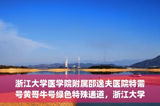 浙江大学医学院附属邵逸夫医院特需号黄哥牛号绿色特殊通道，浙江大学邵逸夫医院特需号黄哥牛号，绿色通道的独家解读