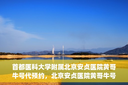 首都医科大学附属北京安贞医院黄哥牛号代预约，北京安贞医院黄哥牛号预约服务解析