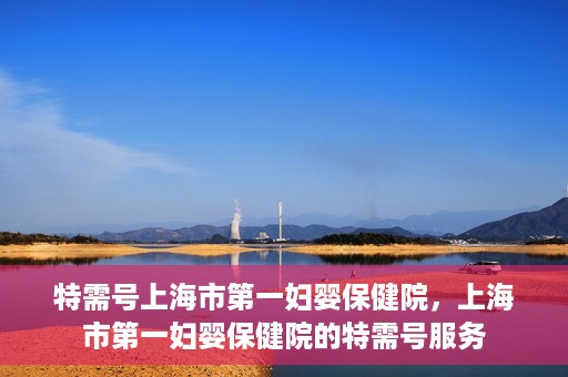 特需号上海市第一妇婴保健院，上海市第一妇婴保健院的特需号服务