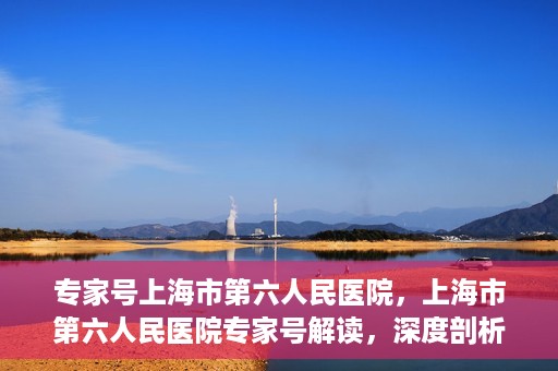 专家号上海市第六人民医院，上海市第六人民医院专家号解读，深度剖析医疗技术与健康服务新动向