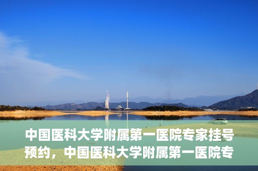 中国医科大学附属第一医院专家挂号预约，中国医科大学附属第一医院专家挂号预约攻略，一站式解决您的就医难题