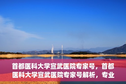 首都医科大学宣武医院专家号，首都医科大学宣武医院专家号解析，专业医疗服务的深度解读