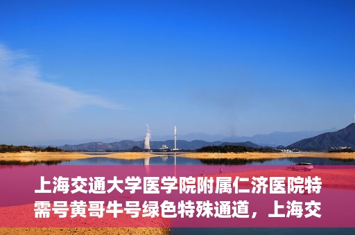 上海交通大学医学院附属仁济医院特需号黄哥牛号绿色特殊通道，上海交通大学医学院附属仁济医院特需号黄哥牛号，绿色特殊通道揭秘