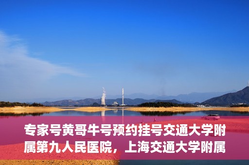 专家号黄哥牛号预约挂号交通大学附属第九人民医院，上海交通大学附属第九人民医院专家号黄哥牛预约挂号攻略