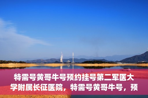 特需号黄哥牛号预约挂号第二军医大学附属长征医院，特需号黄哥牛号，预约挂号指南——第二军医大学附属长征医院