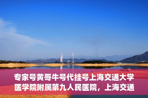 专家号黄哥牛号代挂号上海交通大学医学院附属第九人民医院，上海交通大学医学院附属第九人民医院专家号黄哥牛号代挂号解析