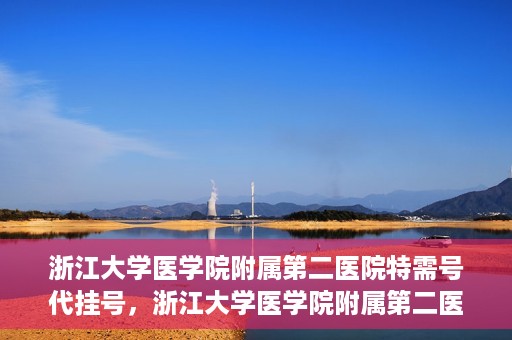 浙江大学医学院附属第二医院特需号代挂号，浙江大学医学院附属第二医院特需号源代挂号服务解析
