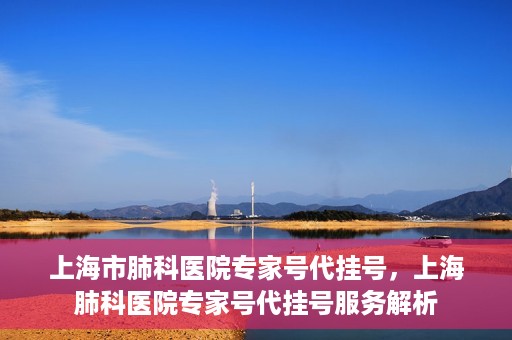 上海市肺科医院专家号代挂号，上海肺科医院专家号代挂号服务解析
