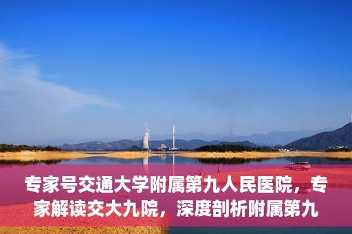 专家号交通大学附属第九人民医院，专家解读交大九院，深度剖析附属第九人民医院的权威医疗力量与特色诊疗技术
