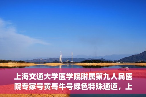 上海交通大学医学院附属第九人民医院专家号黄哥牛号绿色特殊通道，上海交通大学医学院附属第九人民医院专家号黄哥牛号，绿色特殊通道开启健康之门