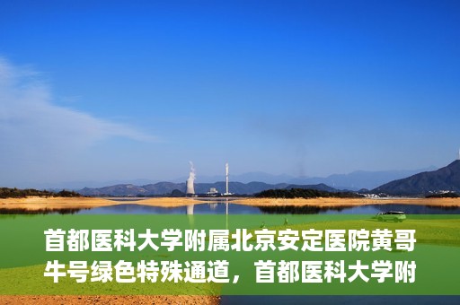 首都医科大学附属北京安定医院黄哥牛号绿色特殊通道，首都医科大学附属北京安定医院黄哥牛号绿色特殊通道，探索与实践