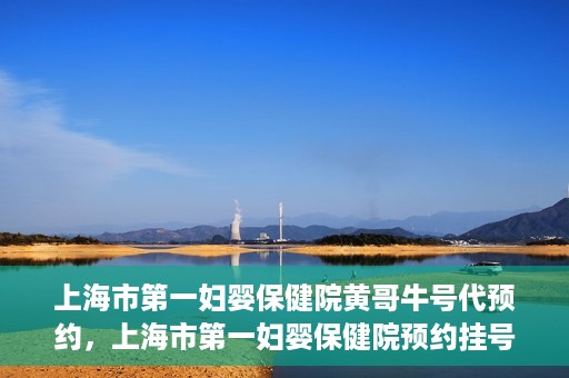 上海市第一妇婴保健院黄哥牛号代预约，上海市第一妇婴保健院预约挂号服务升级，黄哥牛号预约更便捷