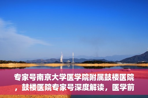 专家号南京大学医学院附属鼓楼医院，鼓楼医院专家号深度解读，医学前沿与诊疗之道