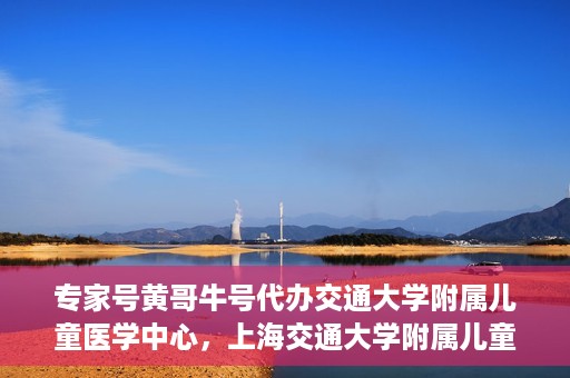 专家号黄哥牛号代办交通大学附属儿童医学中心，上海交通大学附属儿童医学中心专家号代办服务揭秘，黄哥牛号引领医疗新风尚